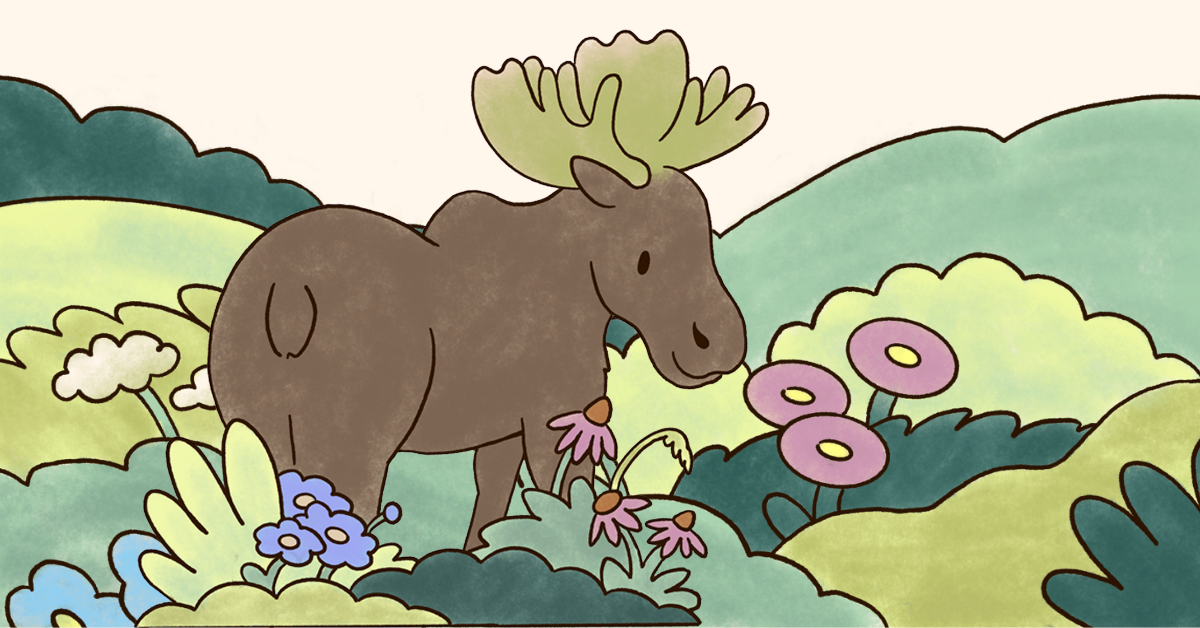 Meet Bruce, Your Camp Haven Guide