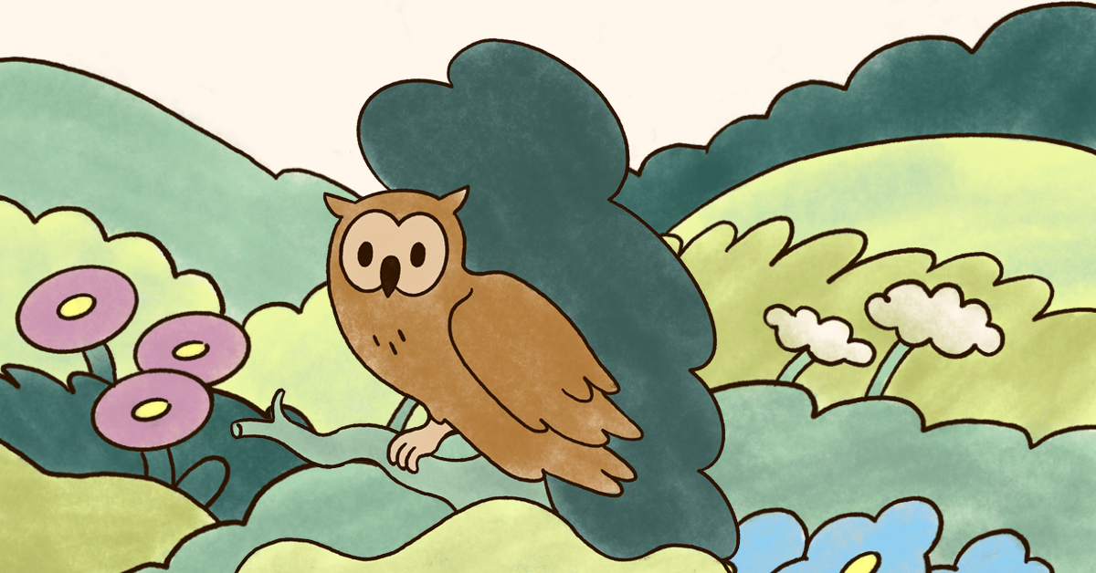 Meet Vera, the Haven’s Strategist